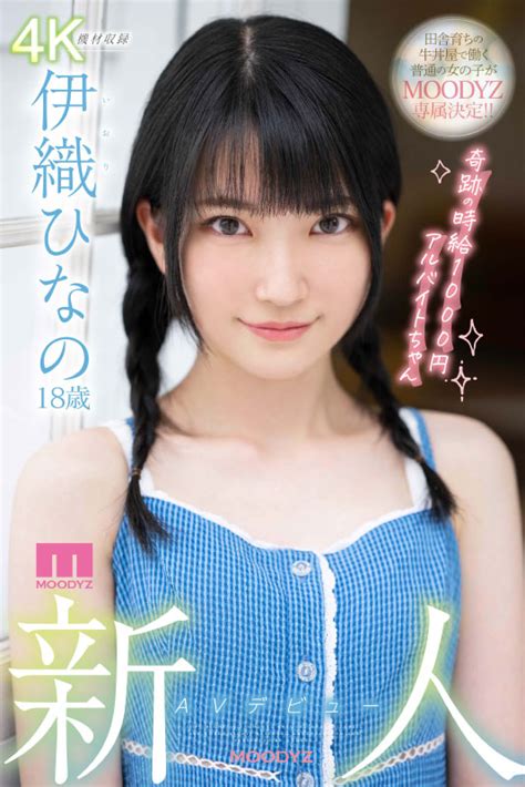 jav debut|MIDV